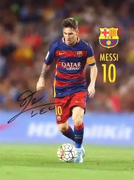 游泳比赛赛程与成绩汇总 重点项目表现突出